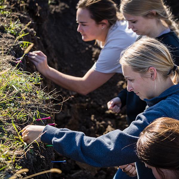 soil research sustainability